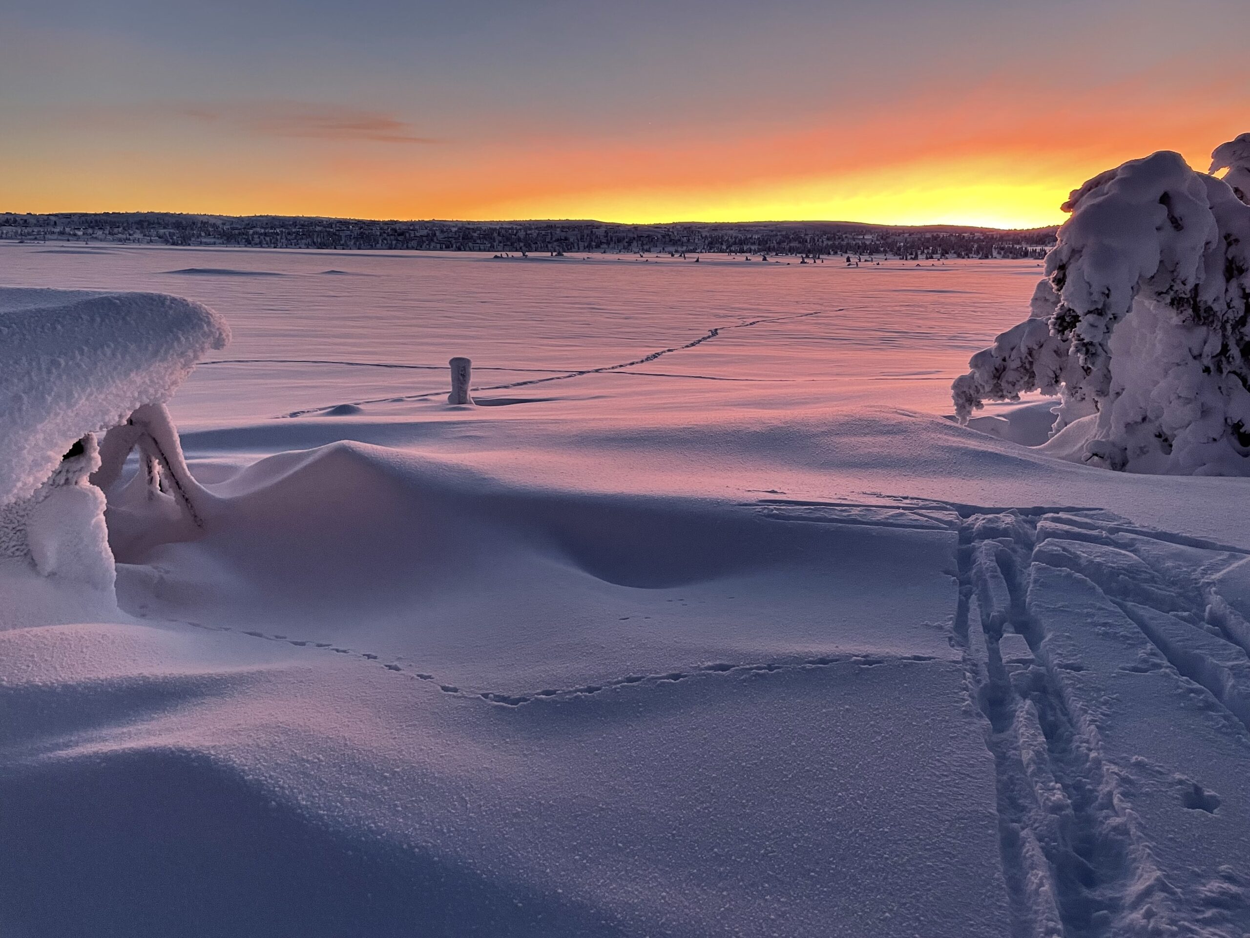 Januarsol ved Kroksjøen